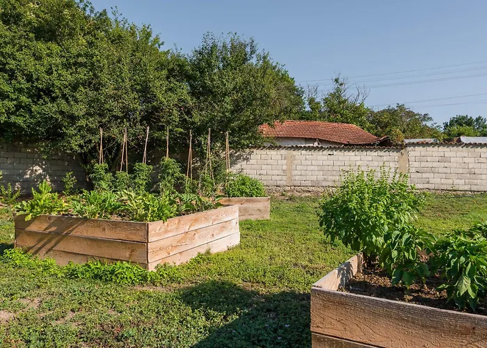 Βίλα Augusta's Authentic Pchelnik (Varna)