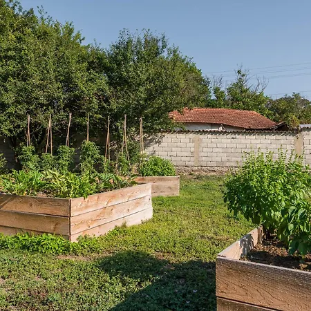 Луксозна вила Augusta's Authentic Pchelnik (Varna)